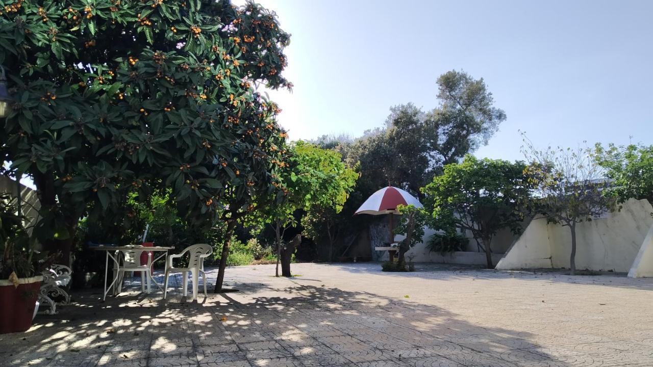 Forever Sao Bras São Brás de Alportel Kültér fotó